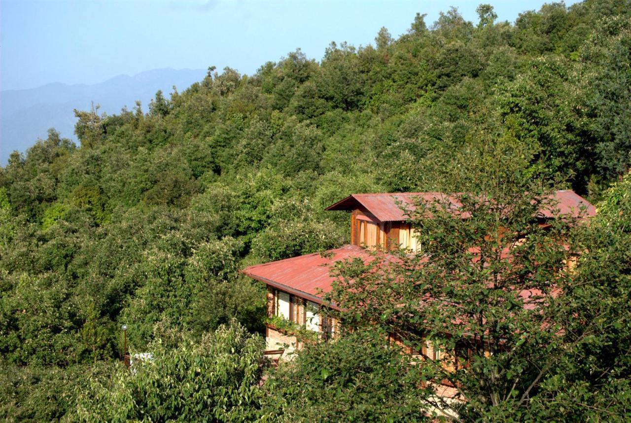 The Misty Mountains Villa Chaukori Exterior photo